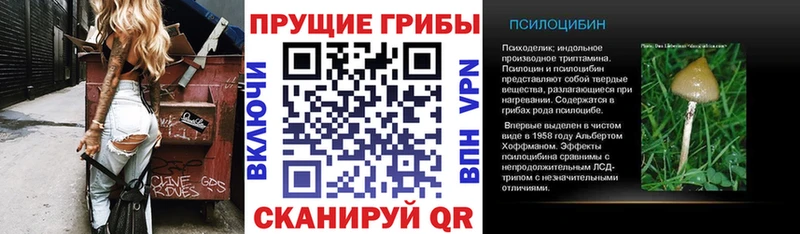 Галлюциногенные грибы Cubensis  Владикавказ 